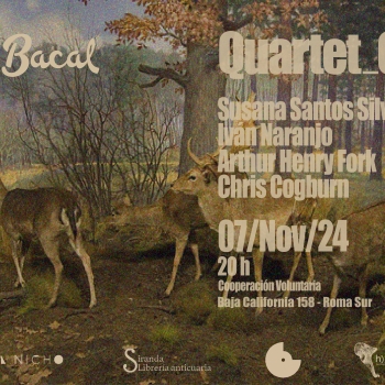 https://www.arthurhenryfork.org/files/gimgs/th-7_FLYER-Quartet_O.jpg