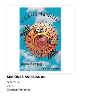https://www.arthurhenryfork.org/files/gimgs/th-8_8_cover-anfibias04.jpg